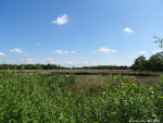 Wierdense Veld